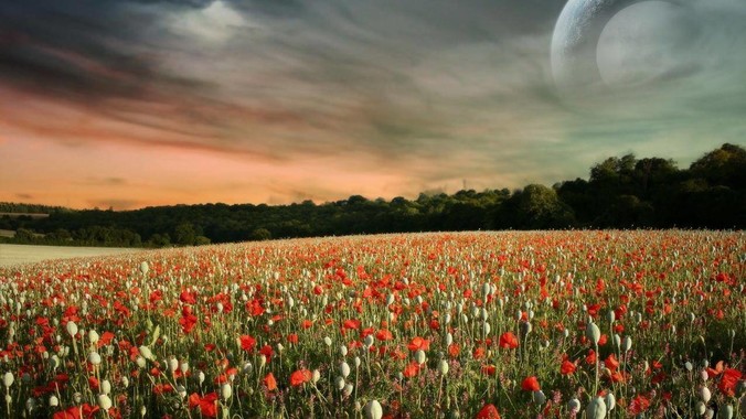 外包是一种什么体验？